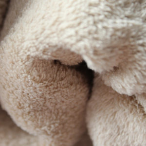 Coral Fleece fabric