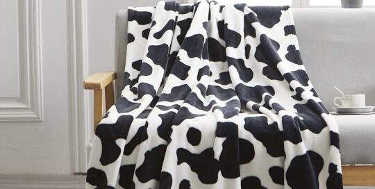 cow print blanket
